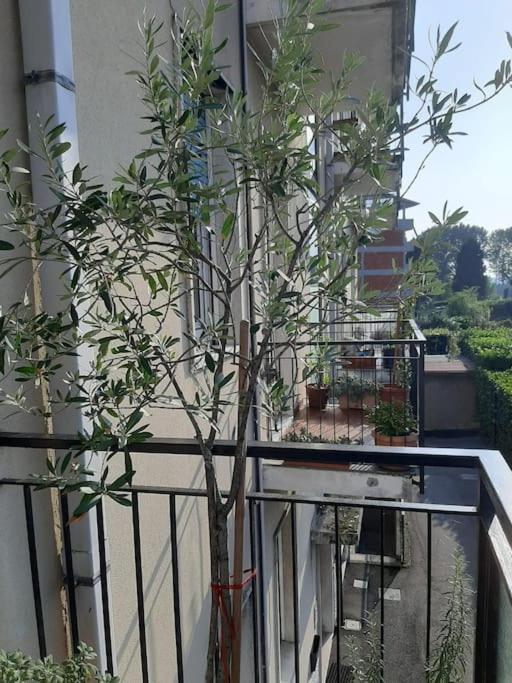 Mice Ottima Soluzione Per Il Centro E La Svizzera Apartamento Como Exterior foto
